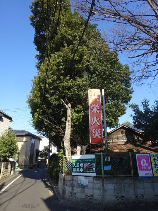 ソニー DSC-WX350 Cyber-shot サイバーショット 完動品