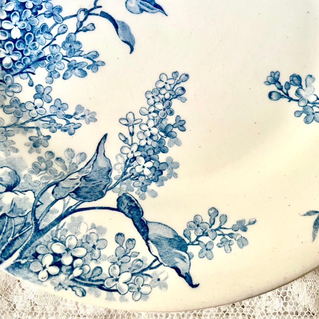 シ*ロ様 サラダ【希少】LILAS リラ平皿プレート　エミール　フランスア