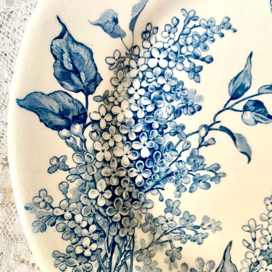 シ*ロ様 サラダ【希少】LILAS リラ平皿プレート　エミール　フランスア