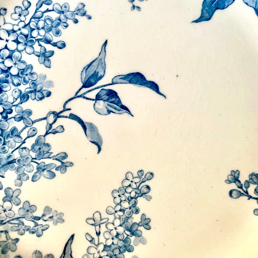 シ*ロ様 サラダ【希少】LILAS リラ平皿プレート　エミール　フランスア