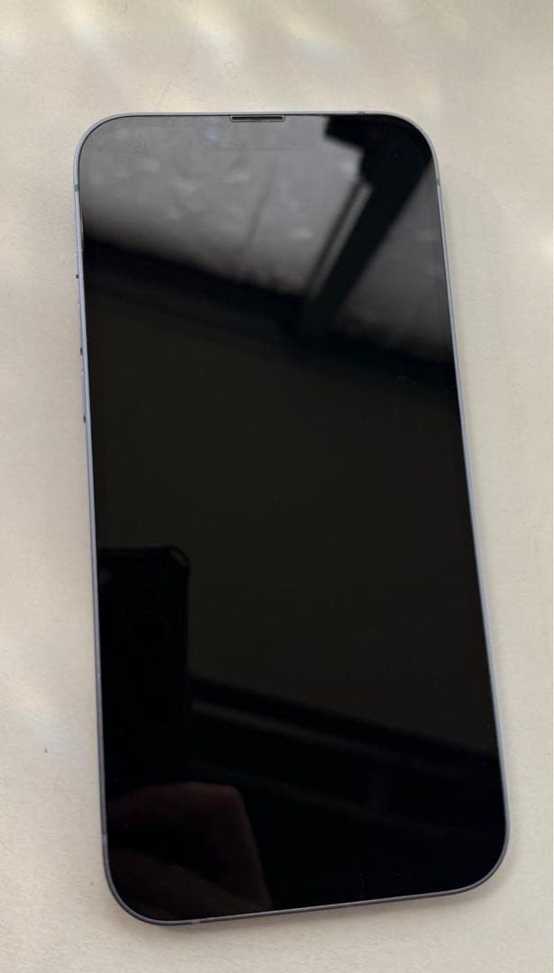 Apple iPhone 14 ブルー 本体 充電ケーブル付き