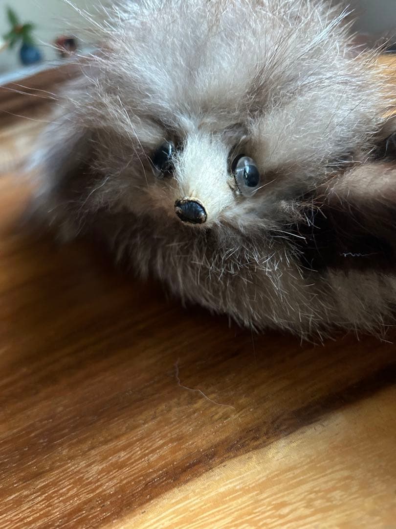 ミンクロングコートとシルバーフォックスマフラー