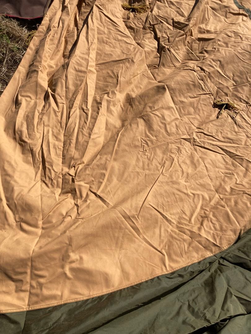 テンティピ　サファイア9cp他オプション