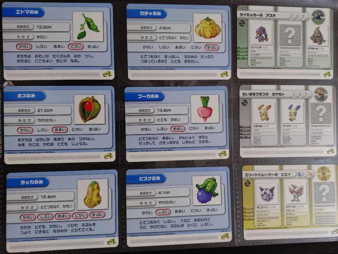 ポケモンバトルカードe+　ルビーサファイア