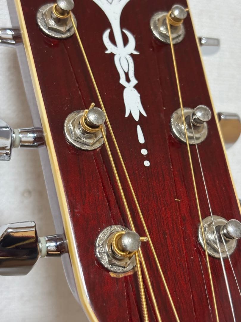 専用！美品！初心者、女性の方、学生さんに最適！！ARIA アリアADF250RD