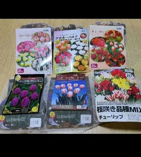 球根セット ①②③④ あずき様