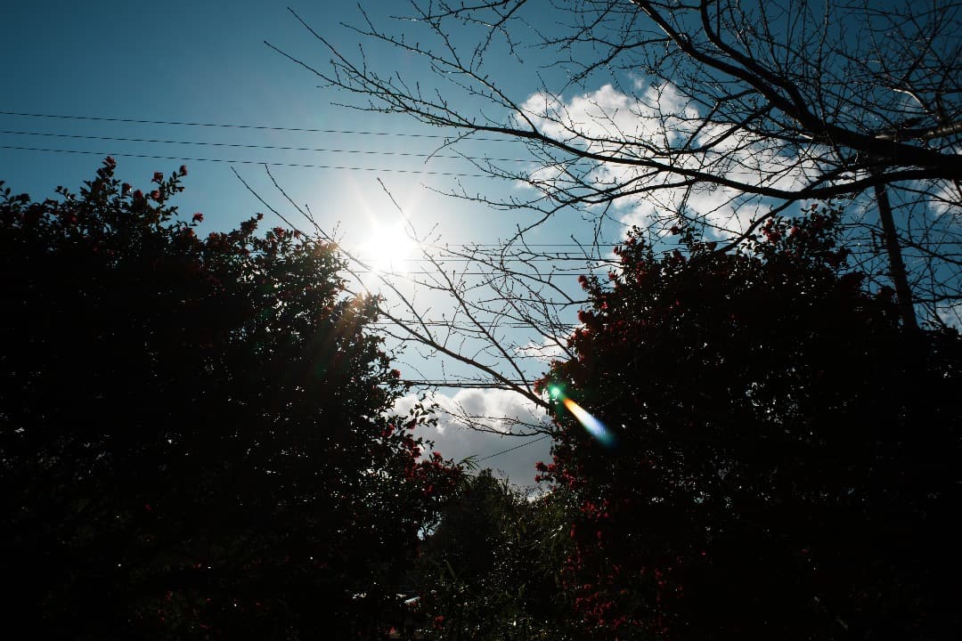 【整備＆テスト】オリンパス Zuiko auto-w 28mm F2.8 922