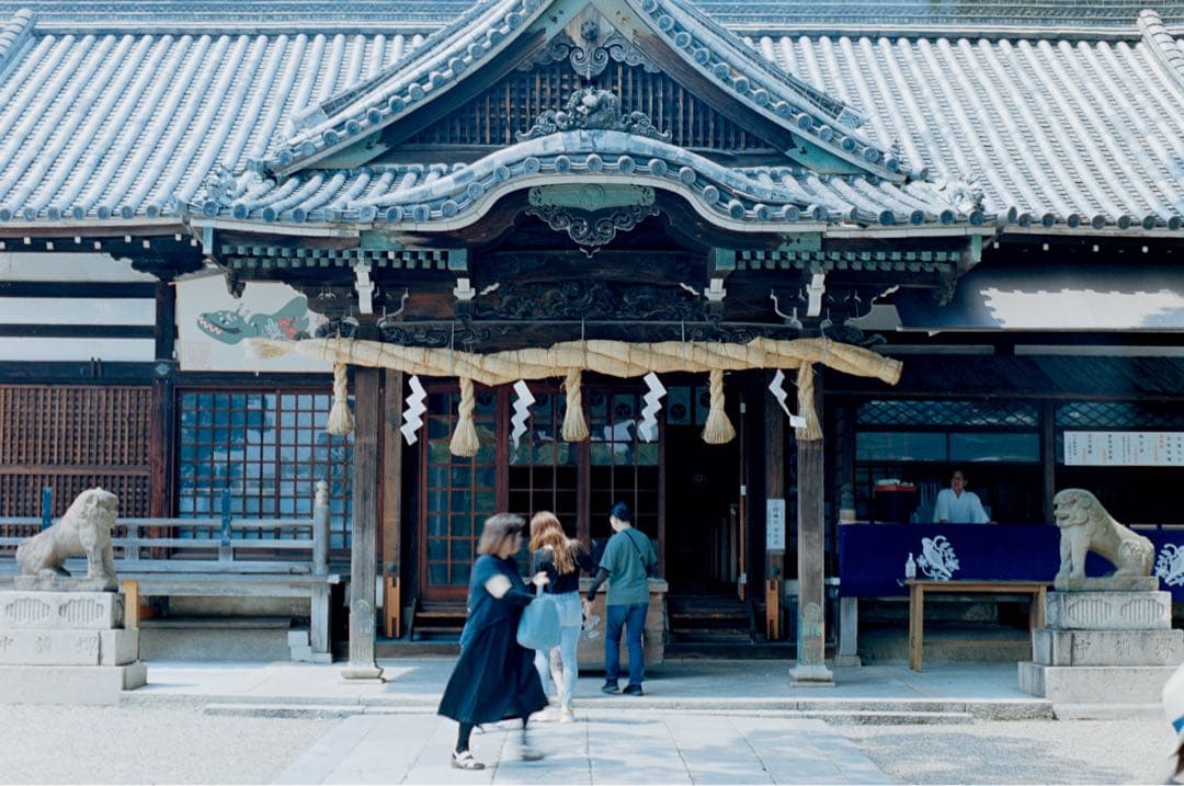 【神レンズ】OLYMPUS ZUIKO AUTO-MACRO 90mm f2