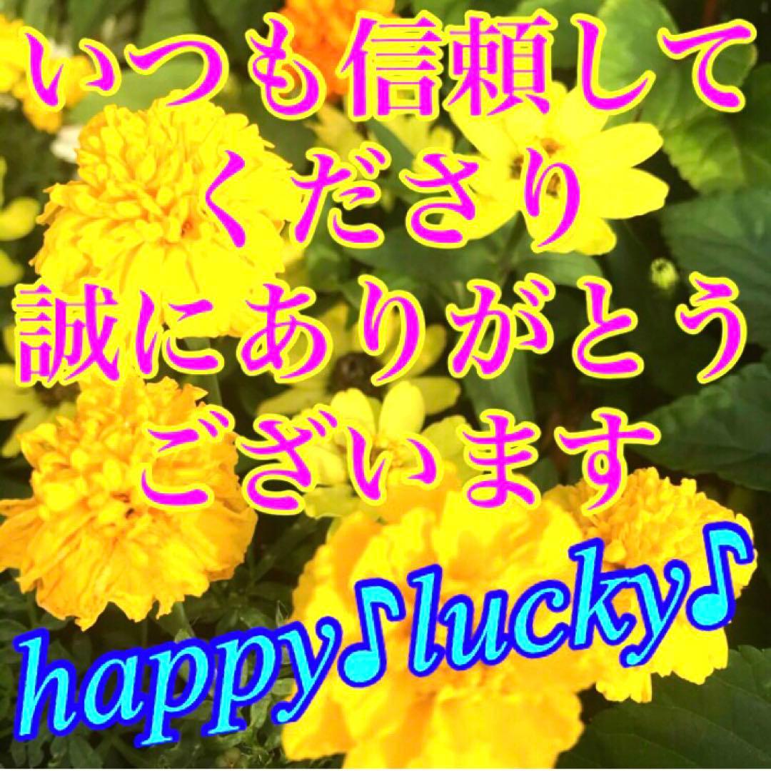 秘符(こうちゃん)病　病気　内臓　胃　心臓　肺　肝臓　護符　霊符　お守り