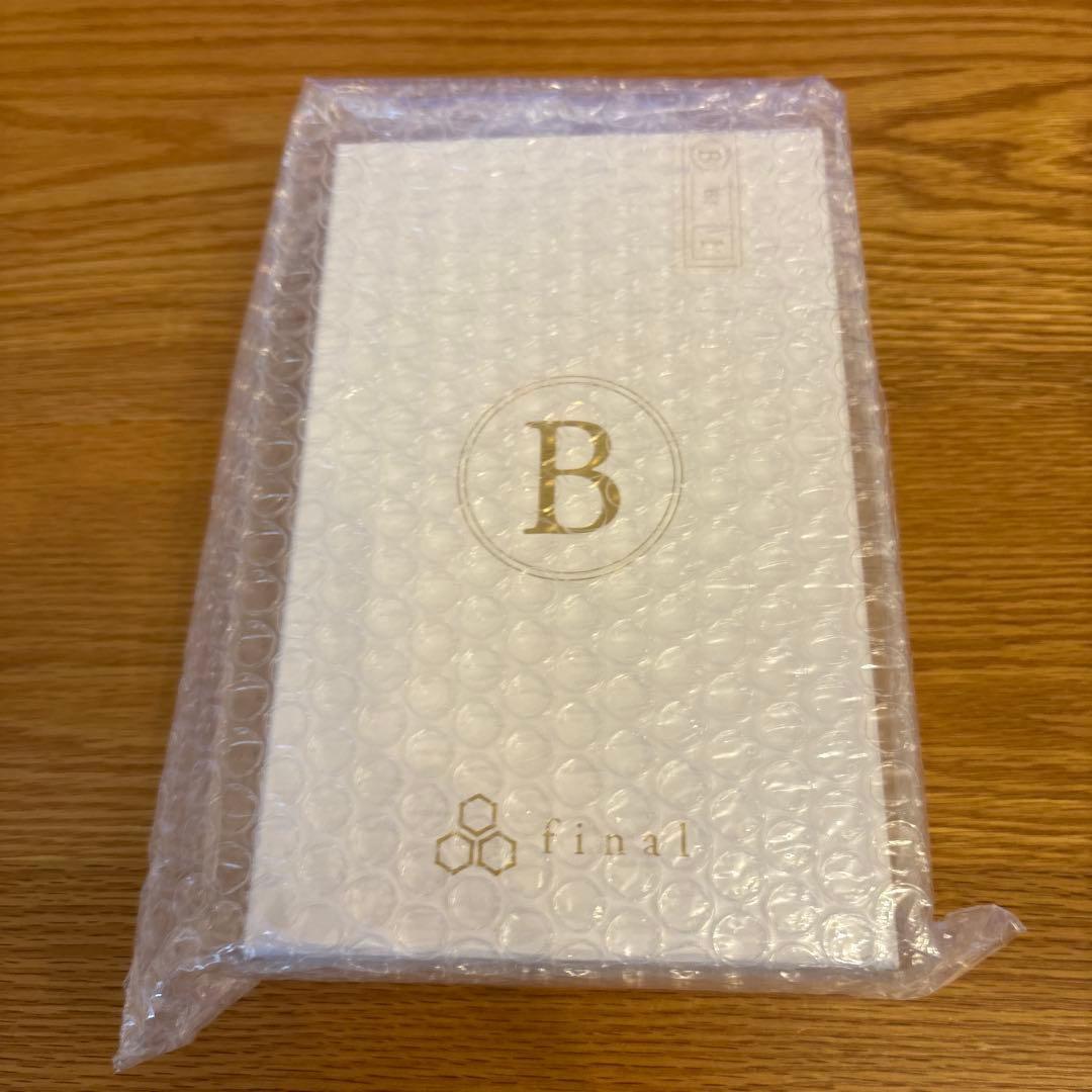 イヤホン final B1