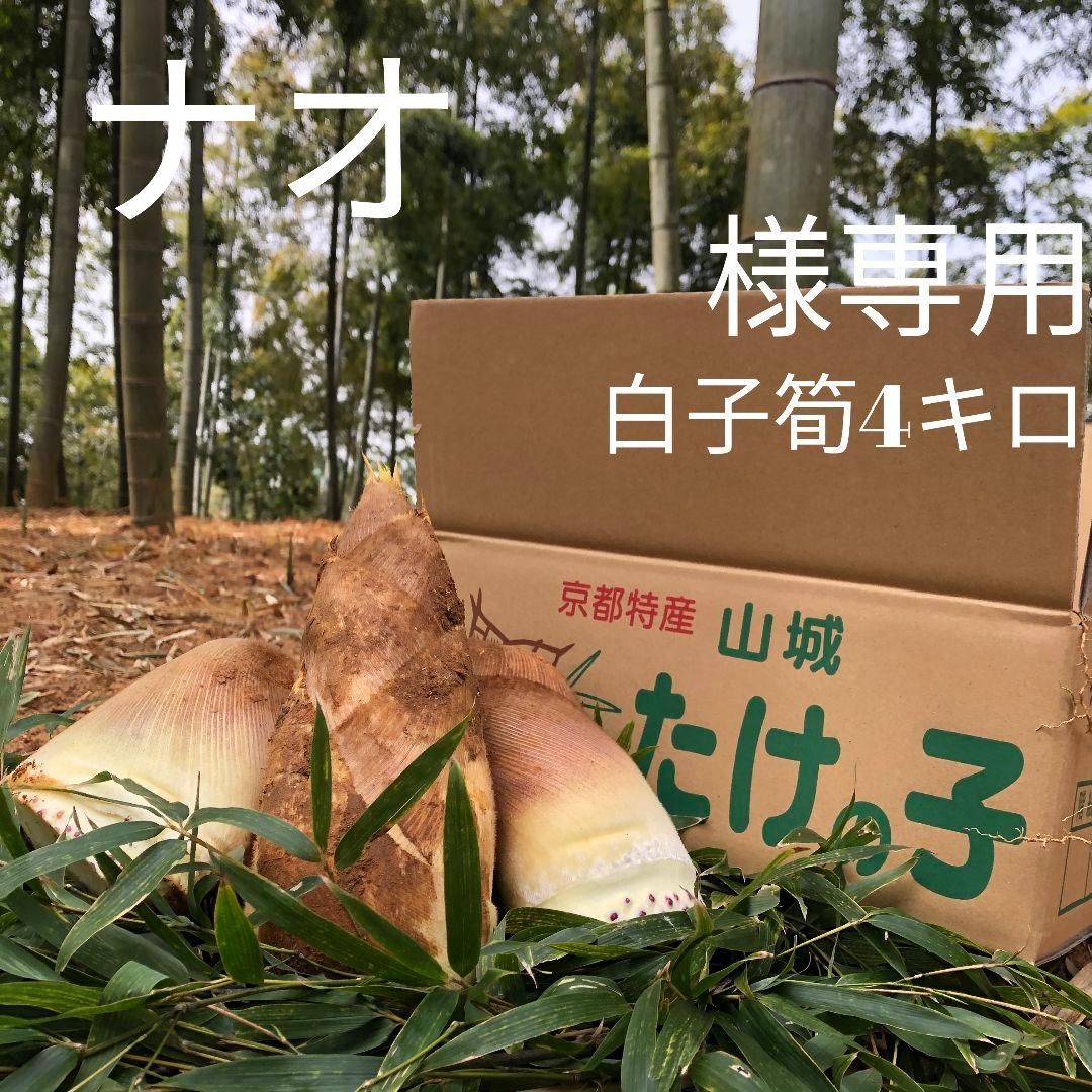 ナオ　白子筍4キロ