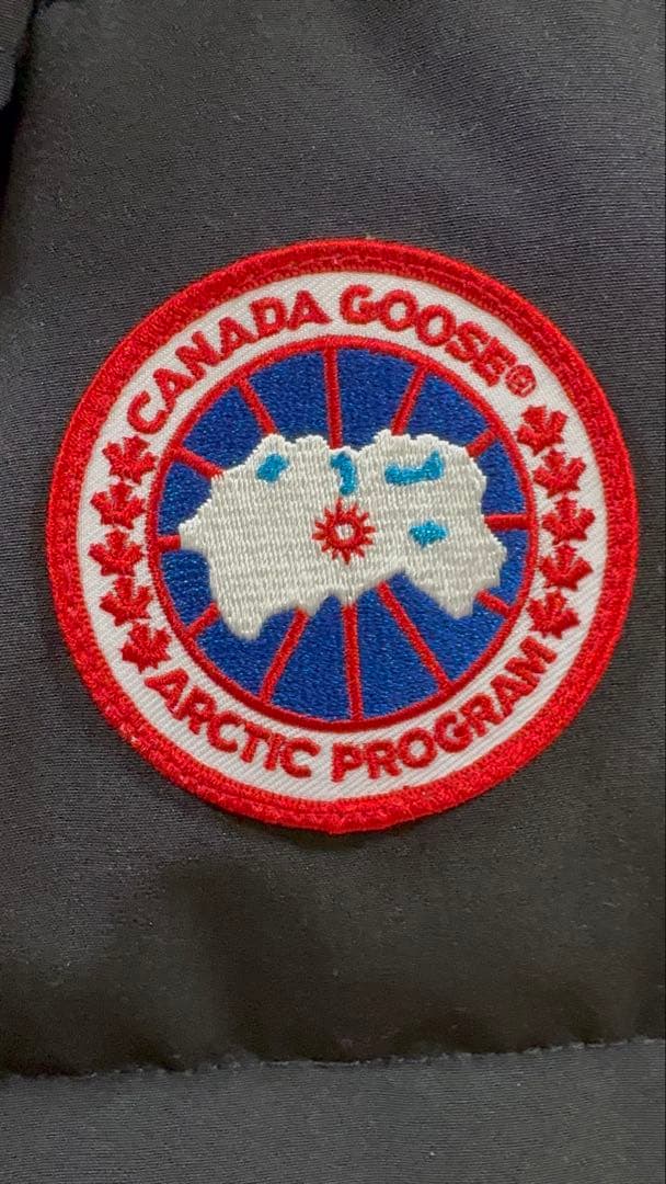 ＜ ＞FREESTYLE VEST ダウンベスト　美品