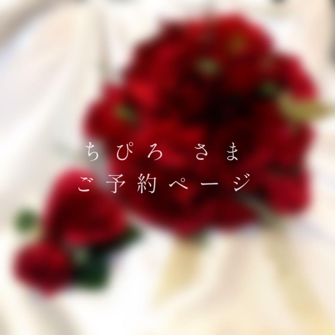 ちぴろ様　ご予約ページ