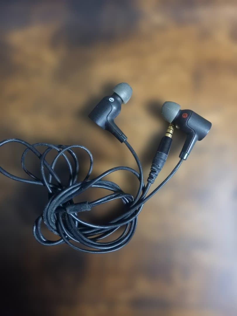 ソニー イヤホン MDR-NW750N ノイズキャンセリング機能搭載ハイレゾ対応