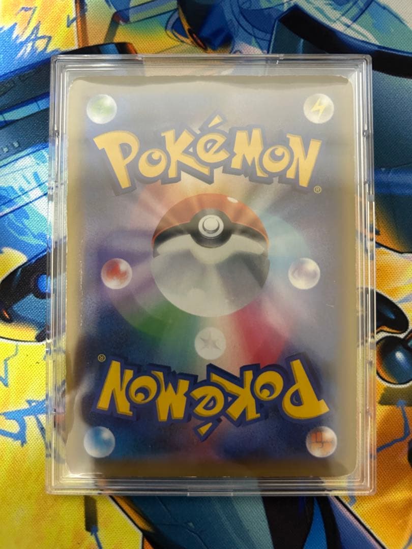 エリカのおもてなし　190/173 SR