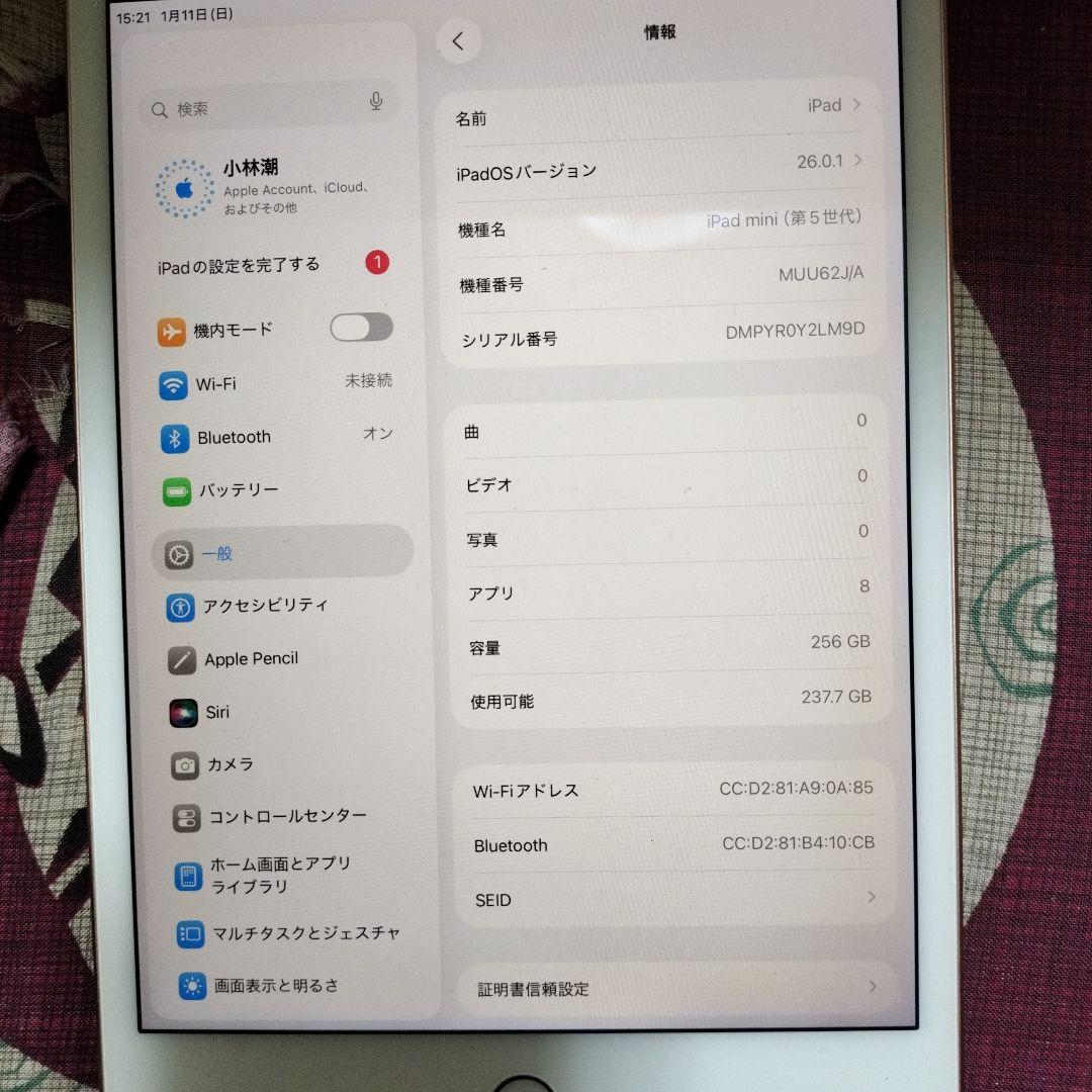 美品　Apple iPadmini（第5世代）256GB