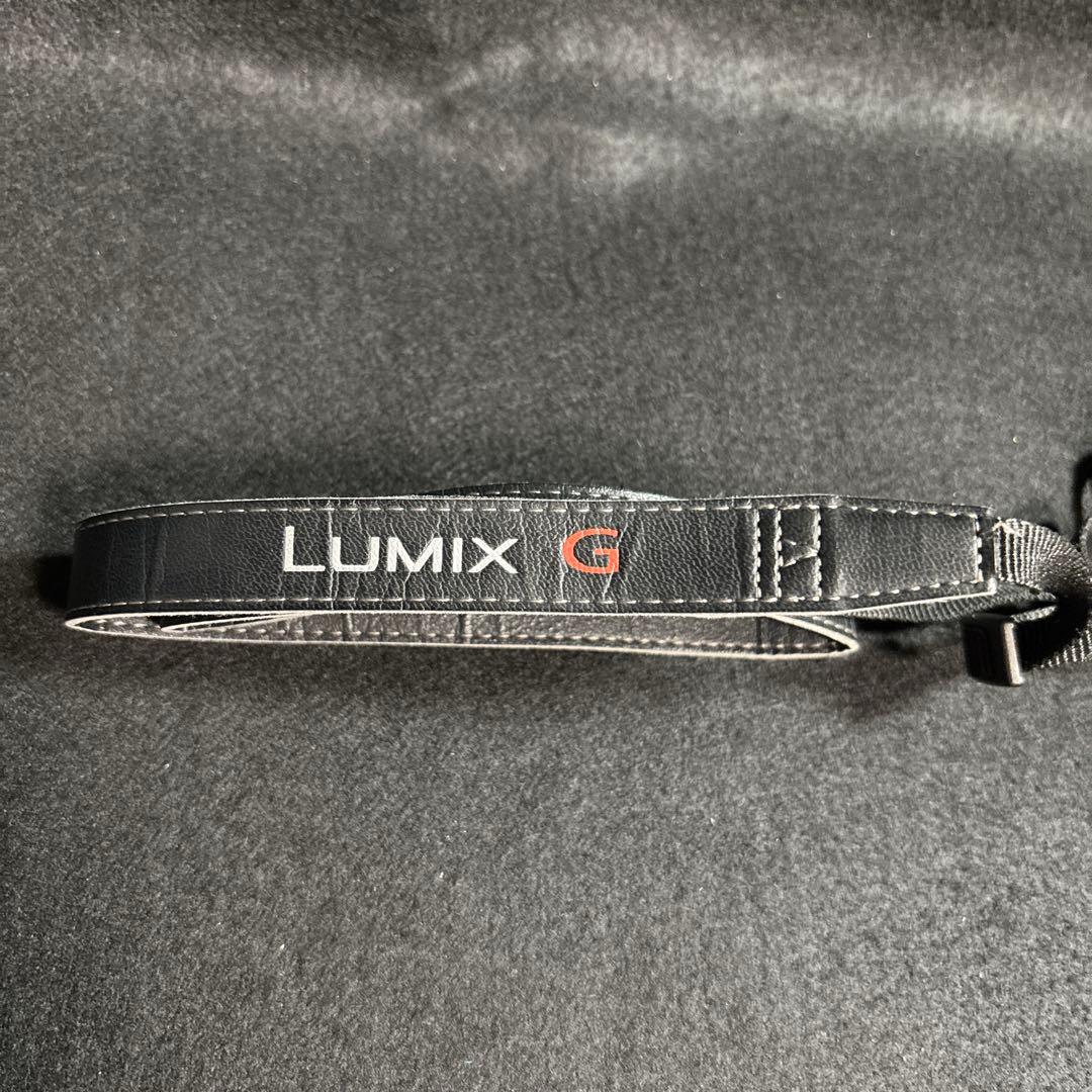 LUMIX G6 ボディ ●箱あり