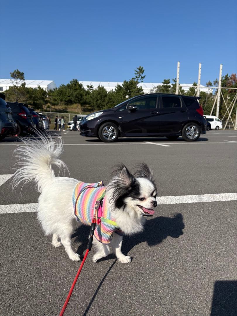 50V型液晶テレビ t.tさん専用