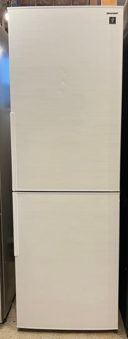 高年式　シャープ　SHARP　2024年製　冷蔵庫　310L