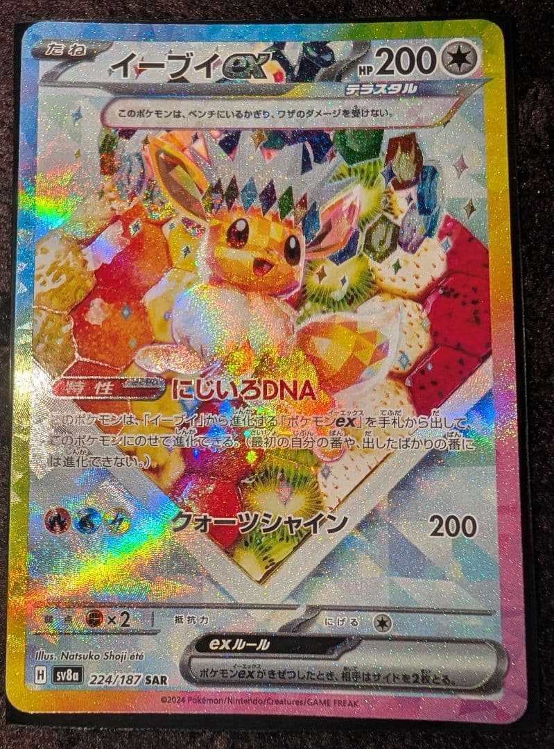 テラスタルフェス　ブイズ9枚セット