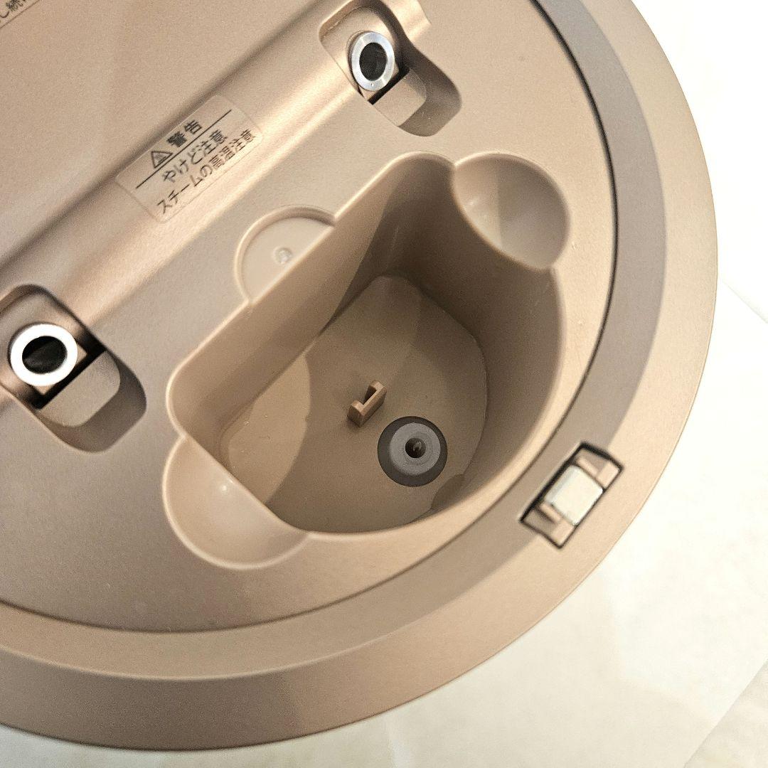 YA-MAN ヤーマン フォトスチーマー IS-100P