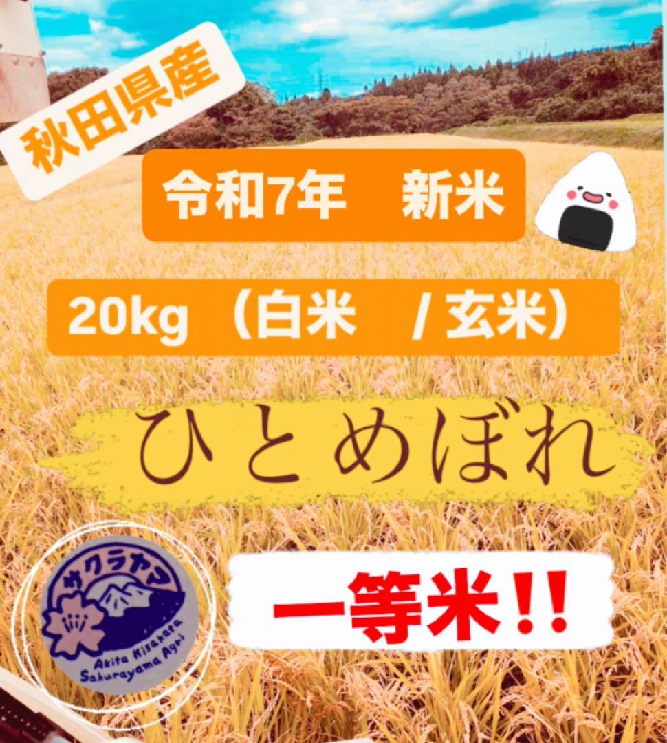 ★令和7年 ‪新米 ひとめぼれ 20kg 秋田県産 産地直送★