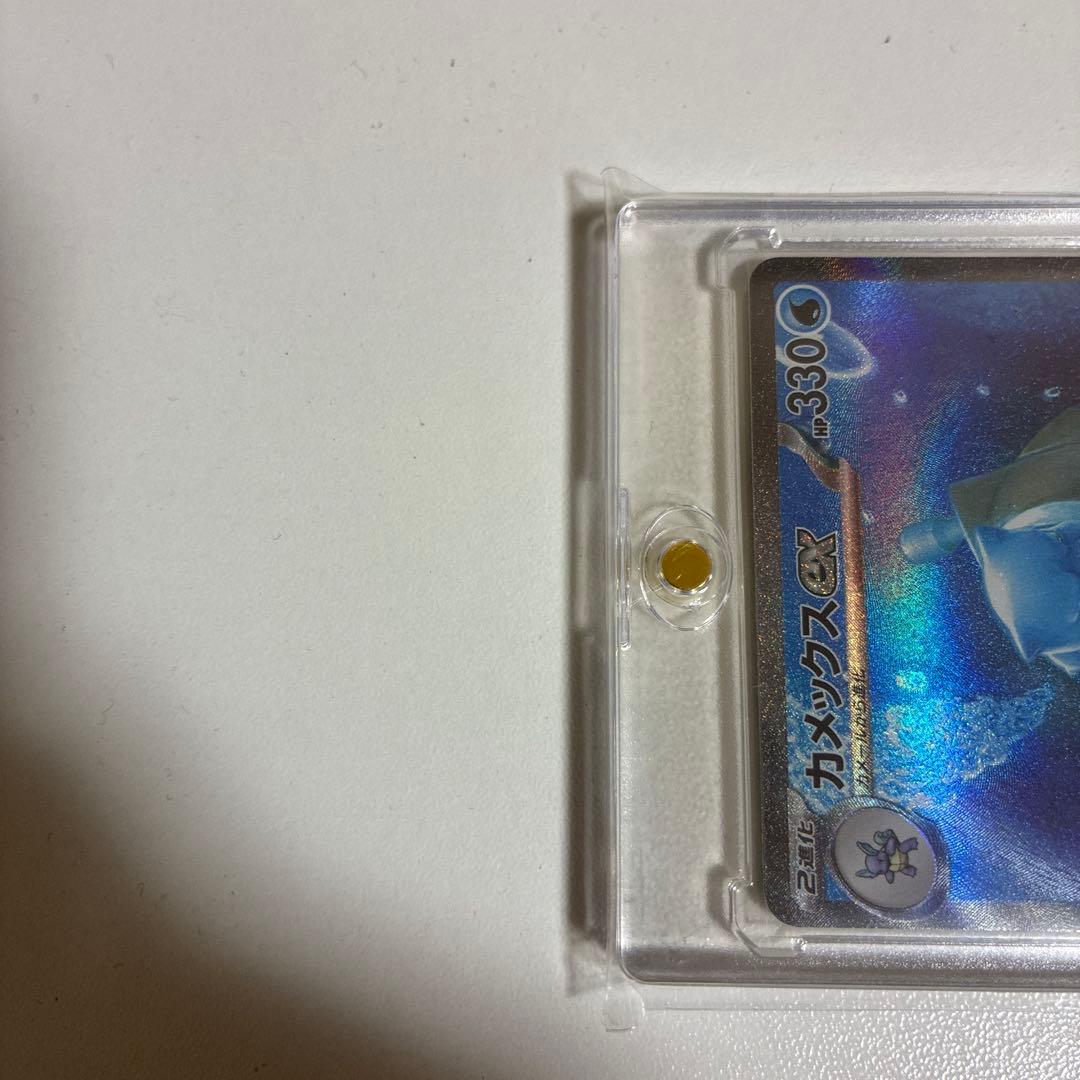 N*e様 カメックス　ex SAR