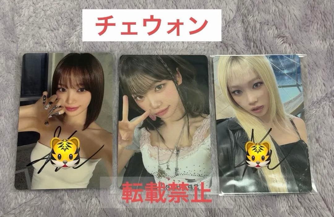 LE SSERAFIM ルセラフィム　チェウォン　直筆サイン　ファンレター