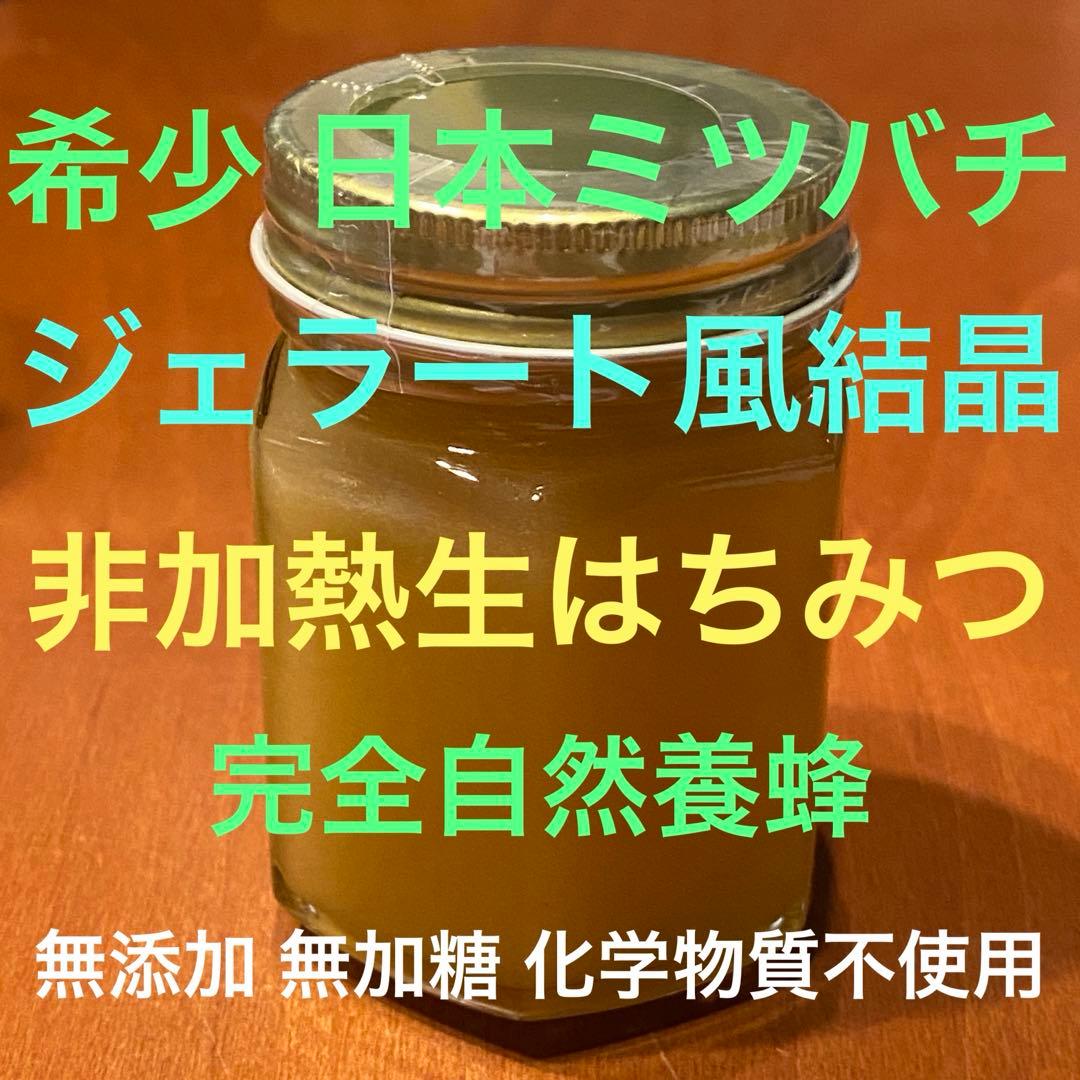 ドルガ リピ割適用 日本ミツバチ生はちみつ ジェラート風2瓶 とろとろ1瓶