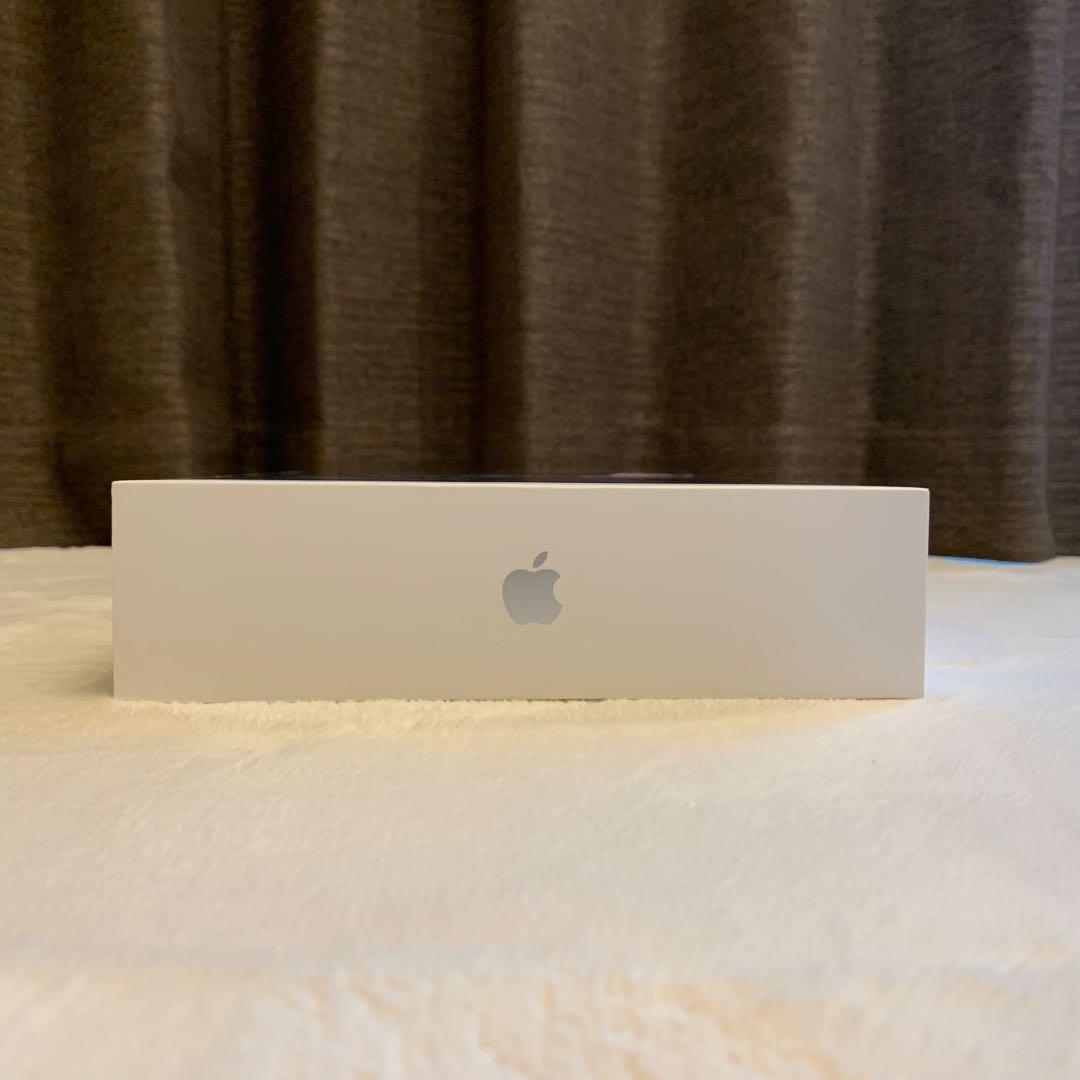 iPadPro 第1世代 11インチ 512GB WiFiモデル