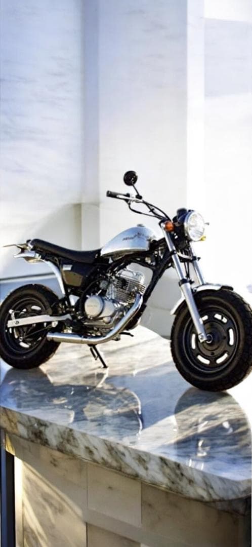 【送料無料】エイプ用　アルミタンク　ビッグシーダー　TW200にも使用可能