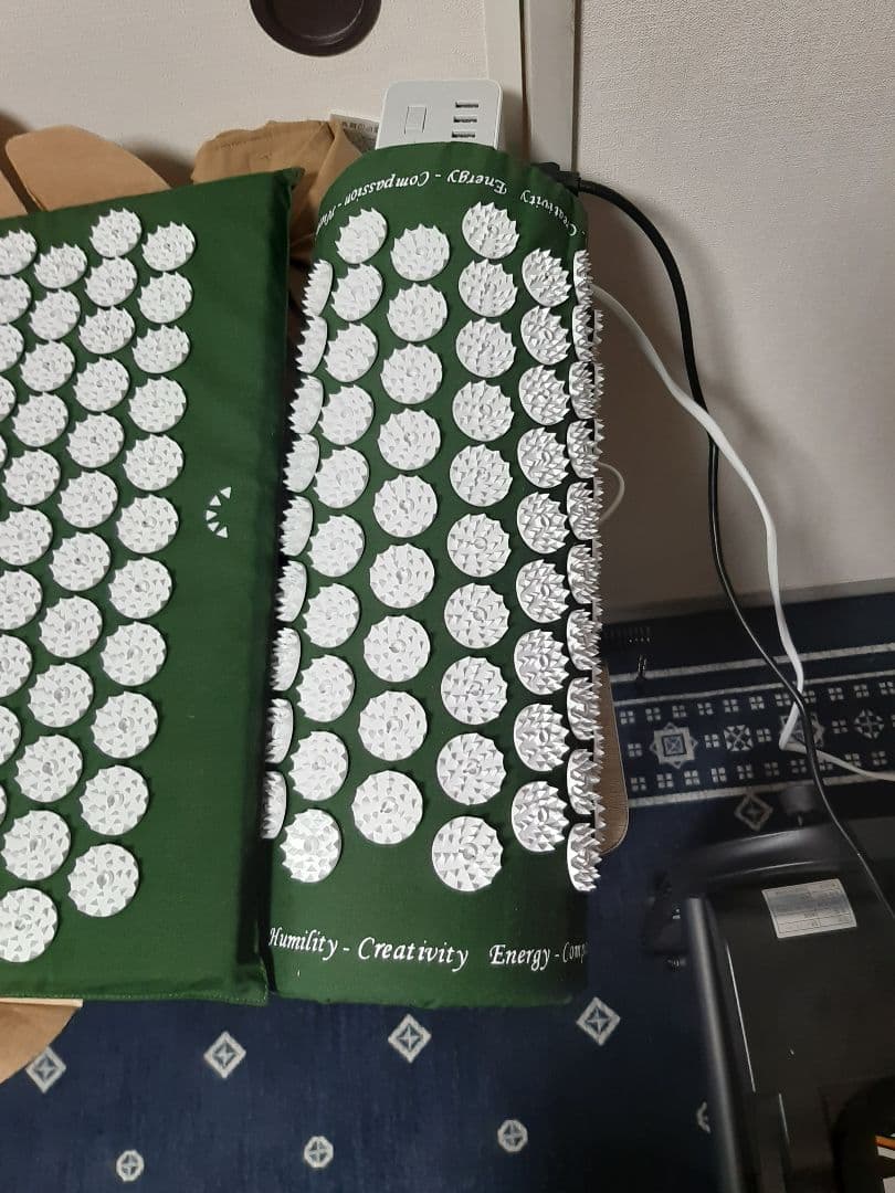 正規品　Shakti 究極のシャクティセット グリーン