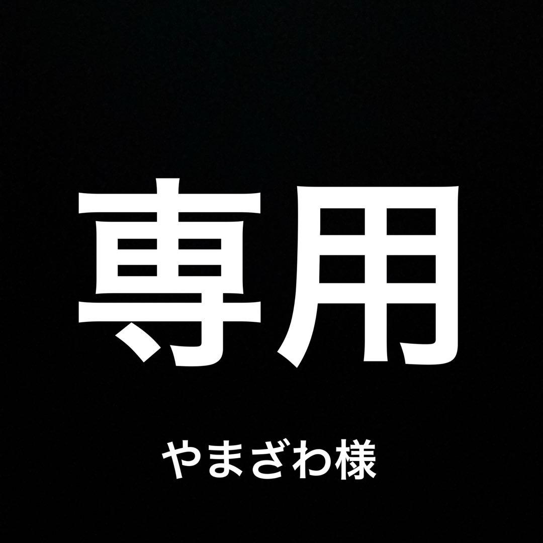 Anker Soundcore Space One Pro 新品未使用未開封