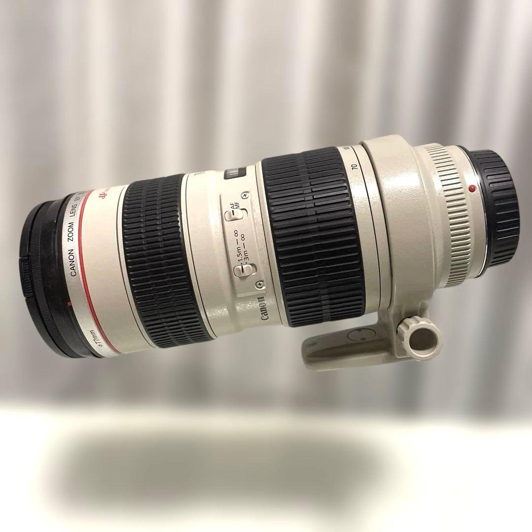 レンズ(ズーム) Canon EF 70-200mm F2.8 L USM