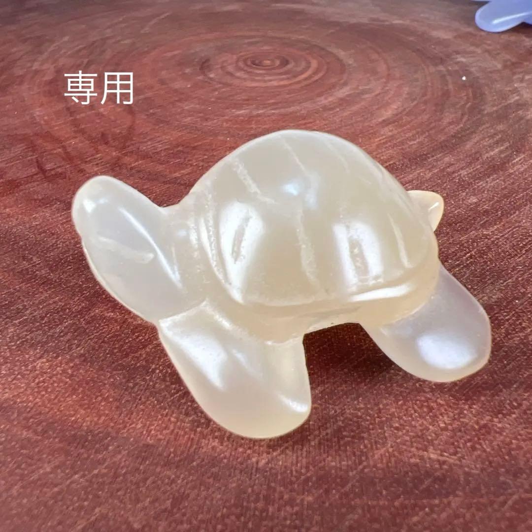 ❣️❣️❣️Aceth❤❤❤値引き不可様　シラーのかわいい亀　キャッツアイ　オレンジ