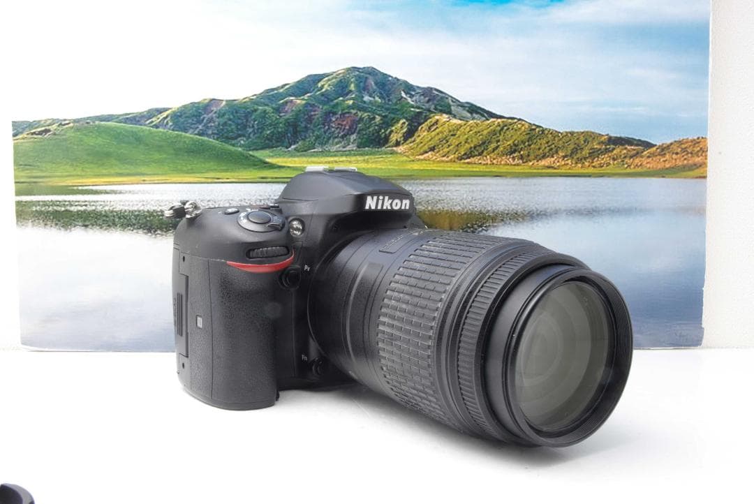 Nikon D7200 高速AF &高速連写　スマホ転送 一眼レフ　ニコン