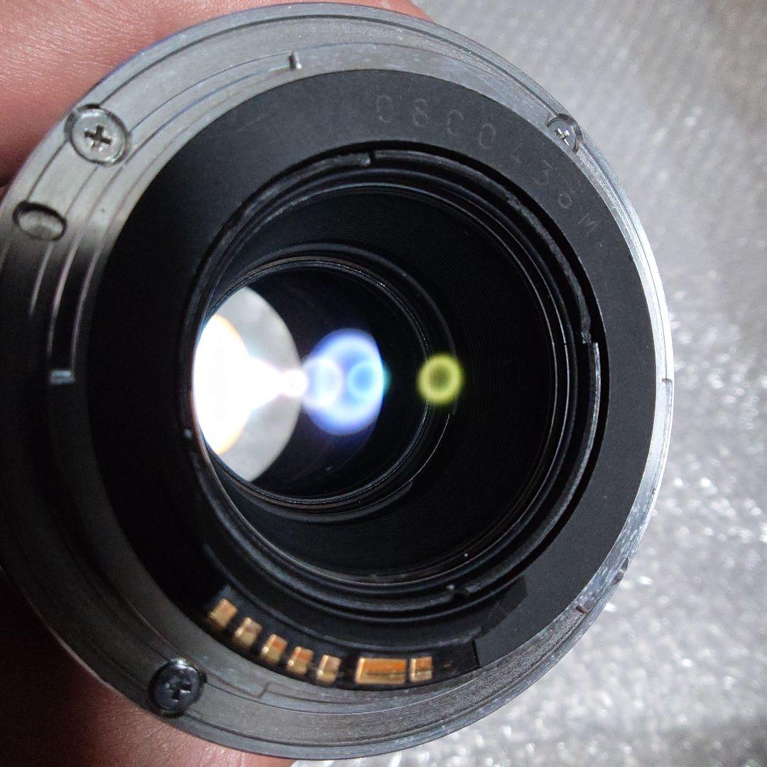 レンズ(単焦点) Canon EF 100mm f2.8 Macro