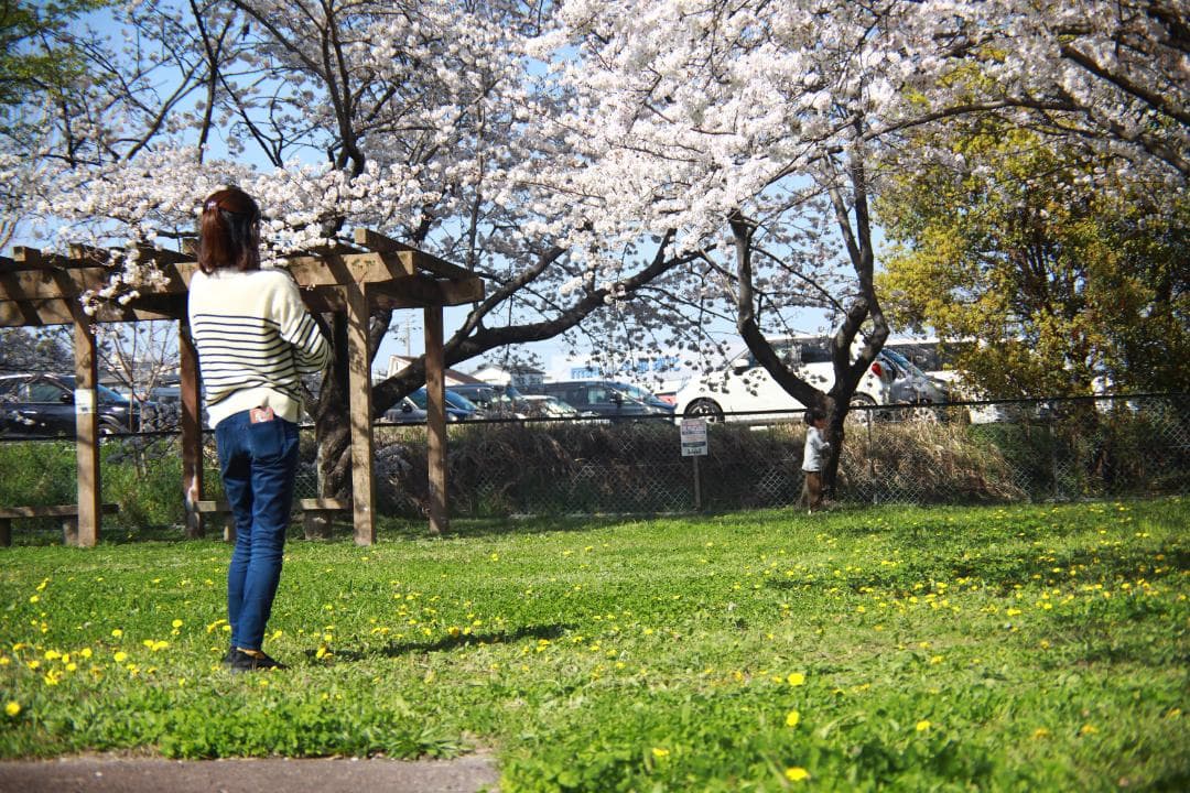 フ*口様 整備済 OLYMPUS OM-SYSTEM ZUIKO 35mm f2