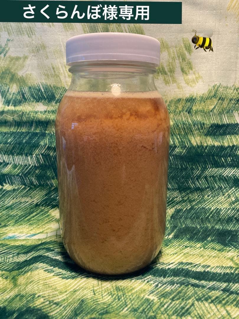さくらんぼ　ニホンミツバチ　生ハチミツ　1120g