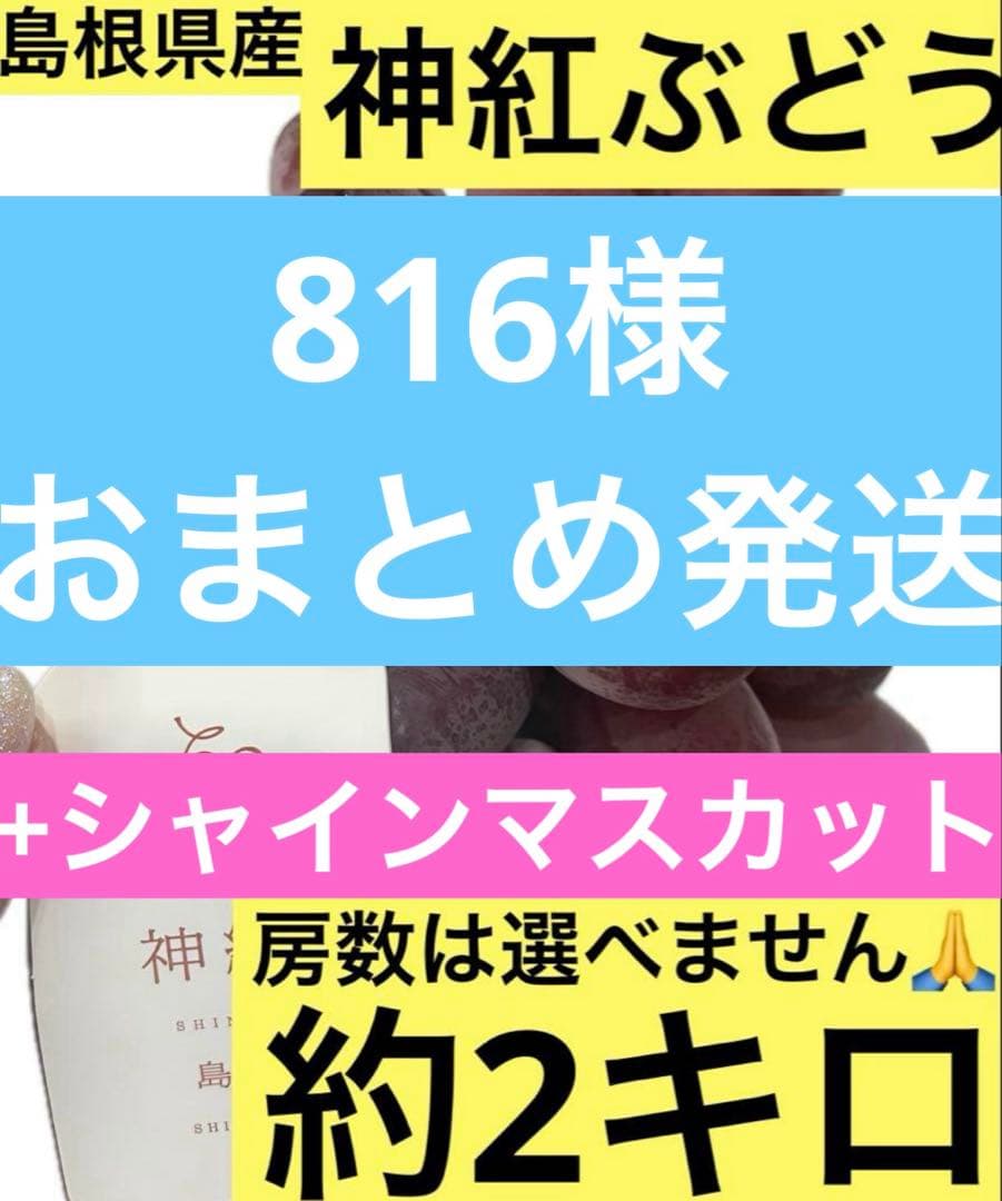 ③【島根県産】神紅(しんく)ぶどう約2キロ(3〜4房)