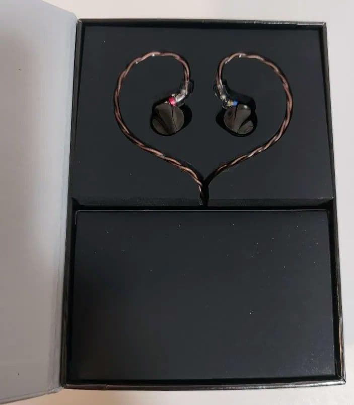 【動作確認のみ】有線イヤホン Fiio FD15 ブラック