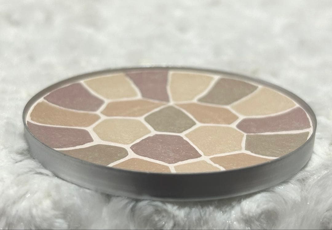 エレガンス　ラプードルオートニュアンスリクスィーズ 27g Ⅴ⑤