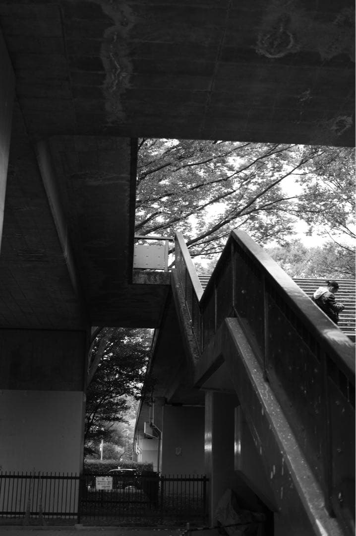 Ricoh GXR S10＋A12 50mm F2.5 MACRO＋オマケ付き