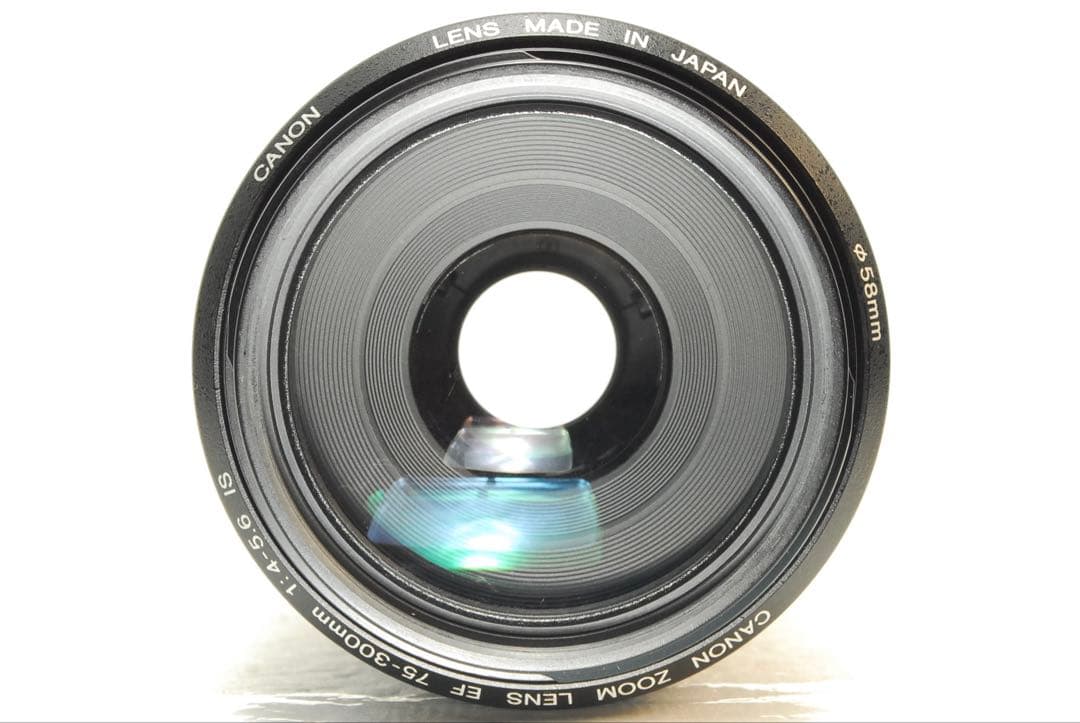 りゅっぴー様Canon EF75-300mm IS USM❤️手ぶれ補正 キヤノン