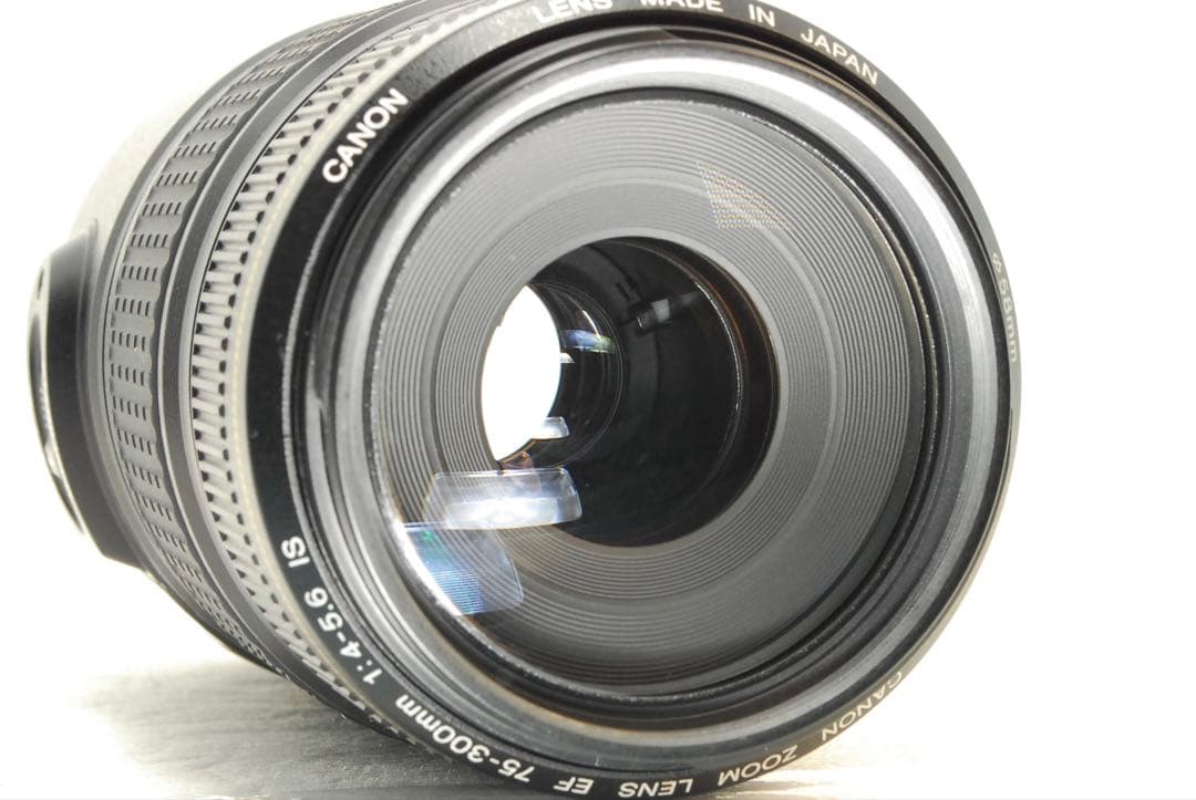 りゅっぴー様Canon EF75-300mm IS USM❤️手ぶれ補正 キヤノン