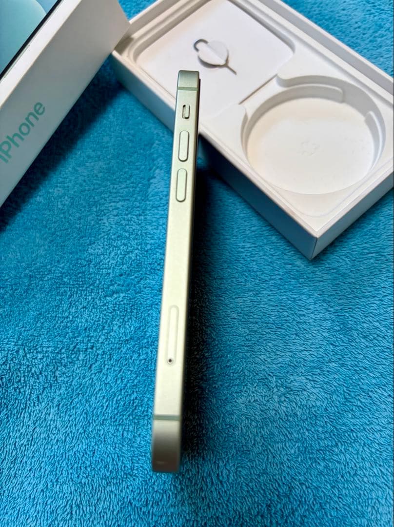 Apple iPhone 12 miniミントグリーン 本体 256G