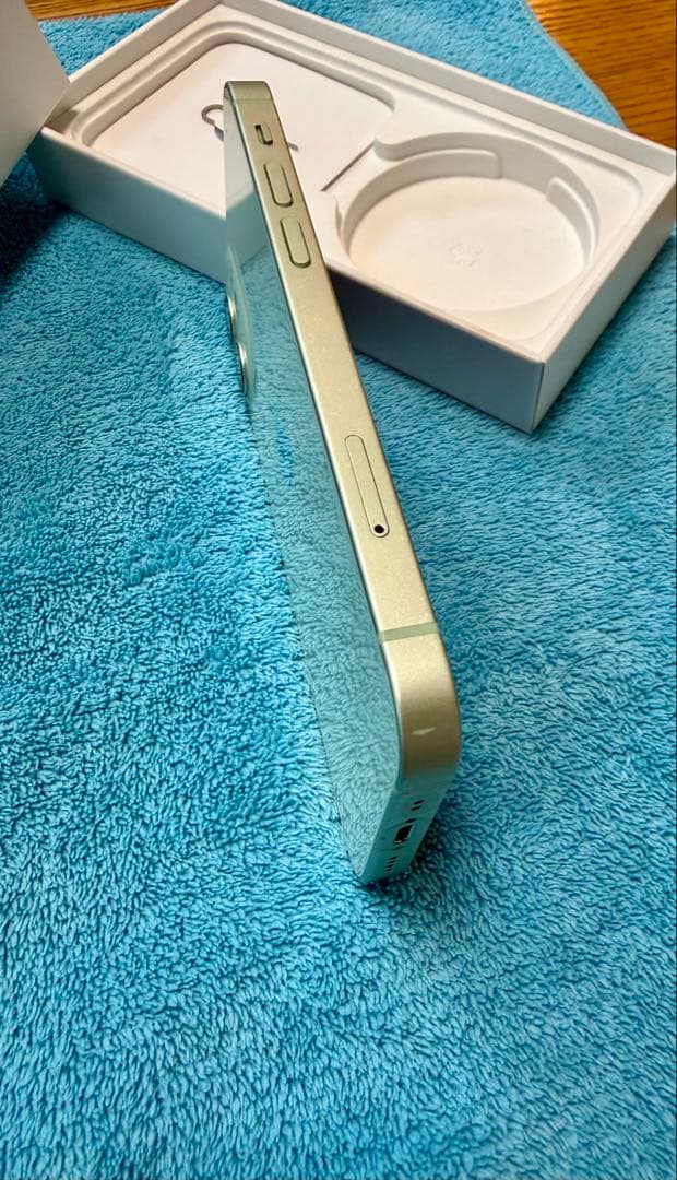 Apple iPhone 12 miniミントグリーン 本体 256G