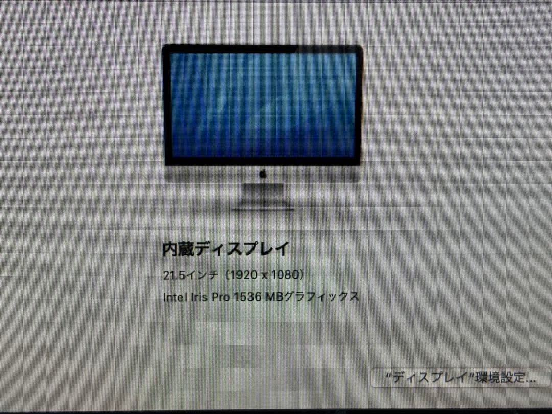 iMac （21.5-inch, Late 2013）メモリ8G HDD 1TB