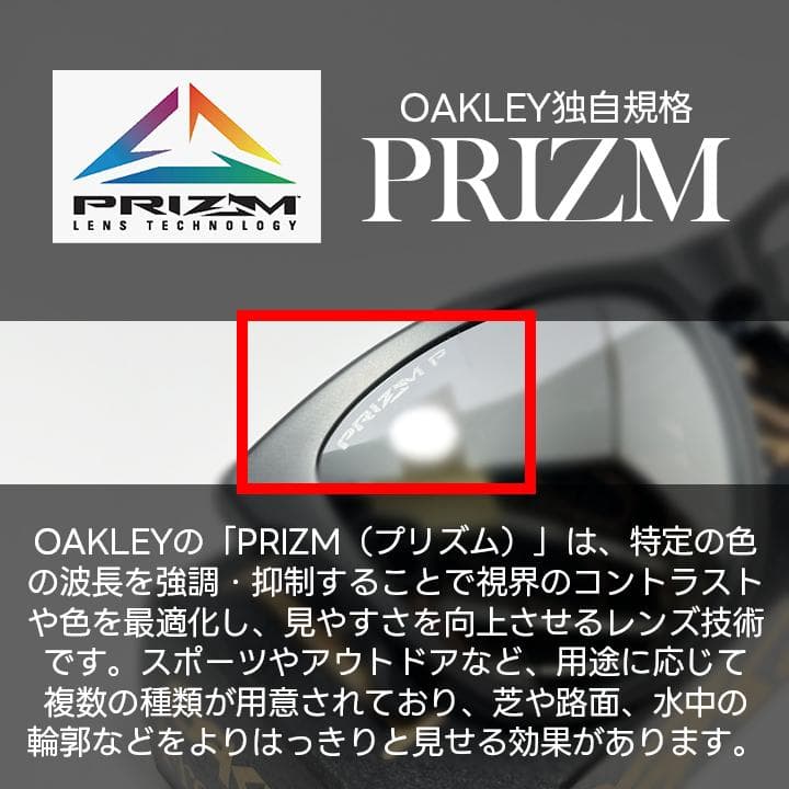 偏光サングラス【9245-8754】オークリー フロッグスキン