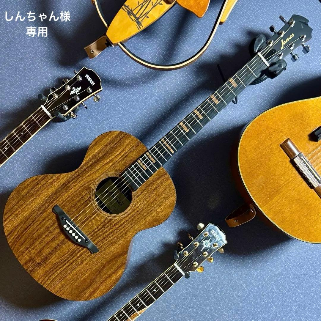 【美品】James トランスギターJ-100A MHT ギグケース付属